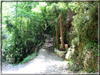 foto Santuario del Covolo